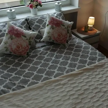 Centrum アパート *